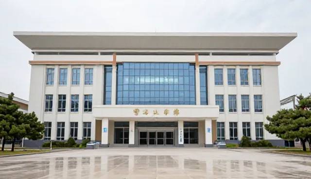 化方案在运维服务中的适用条件与选择依据